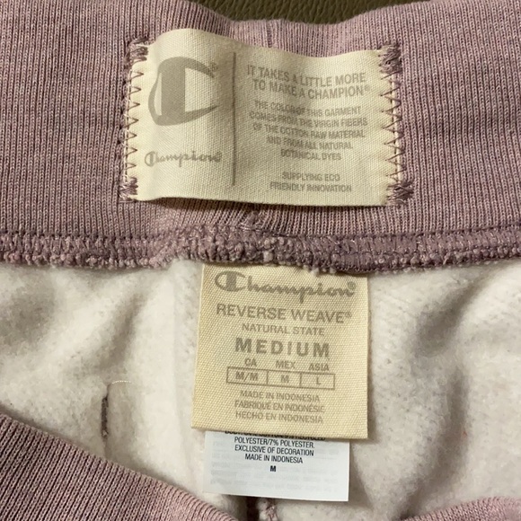 Champion UO exclusive national state sweatpants - Picture 5 of 5